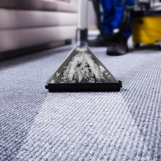 Professional Carpet Cleaning from Decro8eight in Cape Town